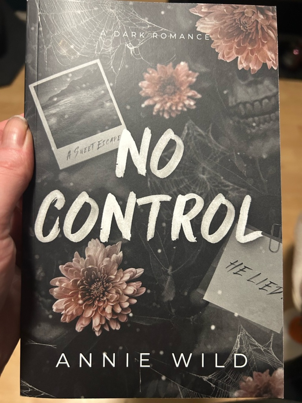 No Control by Annie Wild - Dark Romance Paperback